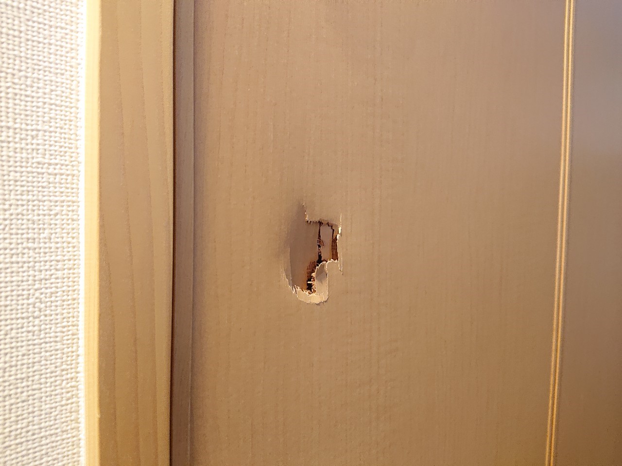 会津 リペア ドア穴破損補修