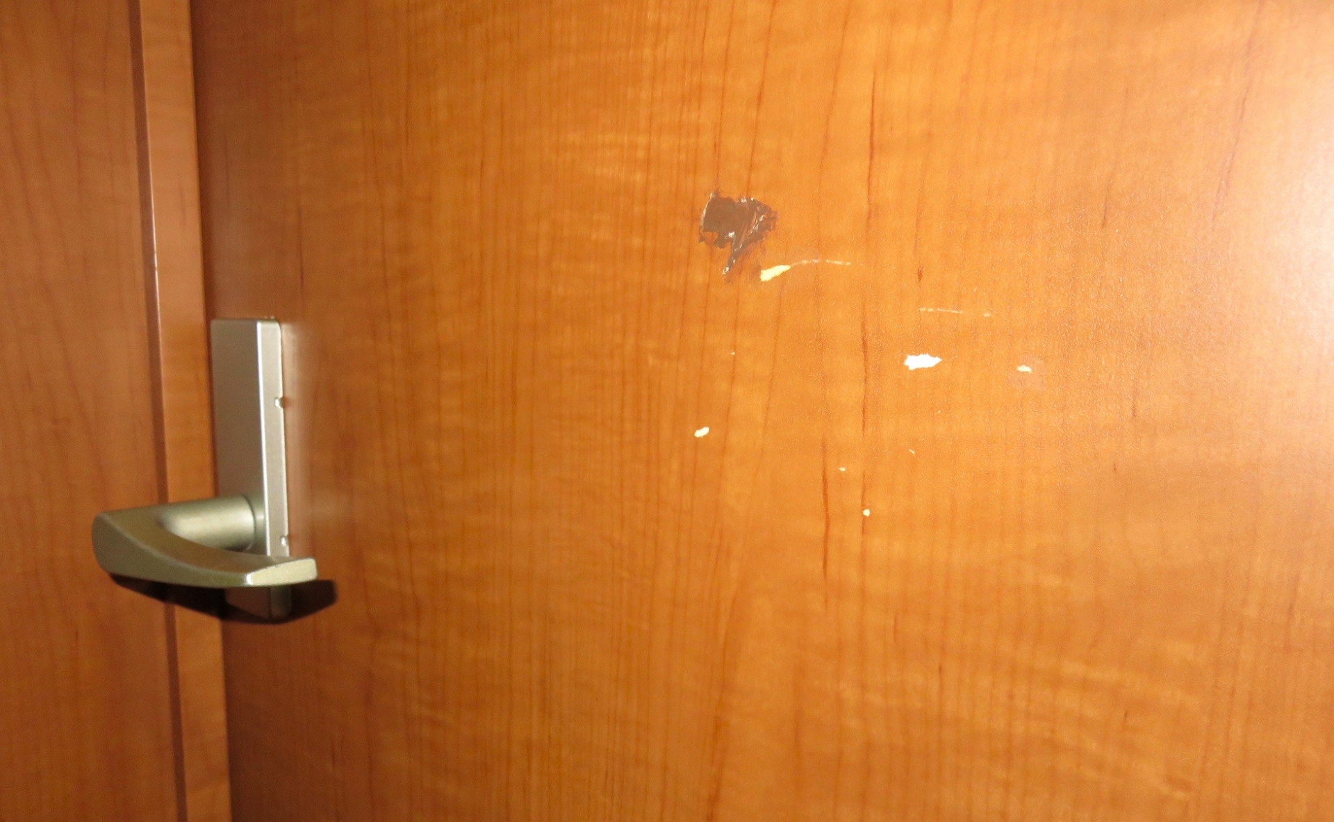 白河リペアナビ 室内扉キズイメージ画像