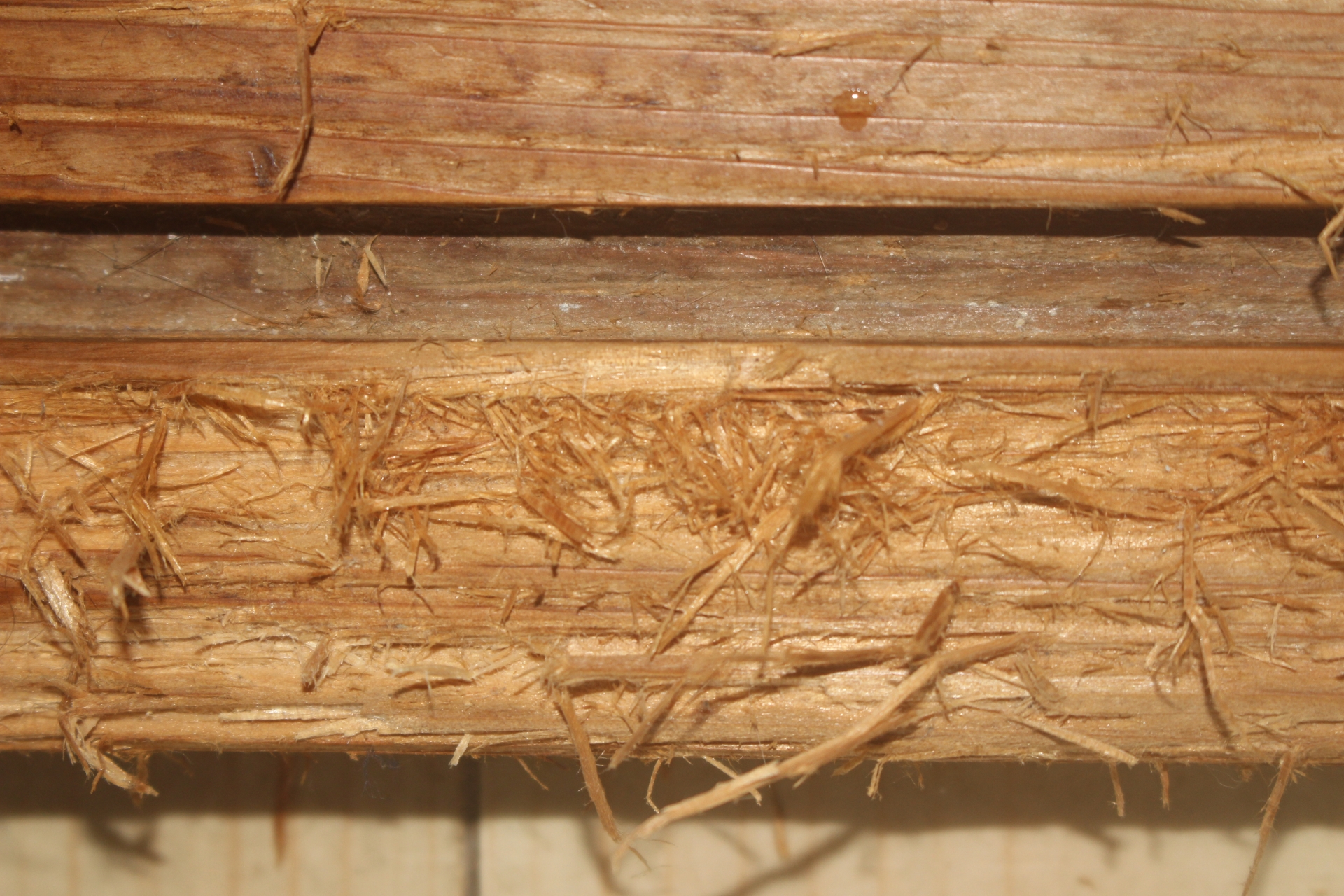 福島リペア-床鳴り・建具・アルミサッシ等住まいのキズ補修なら　木部傷イメージ画像