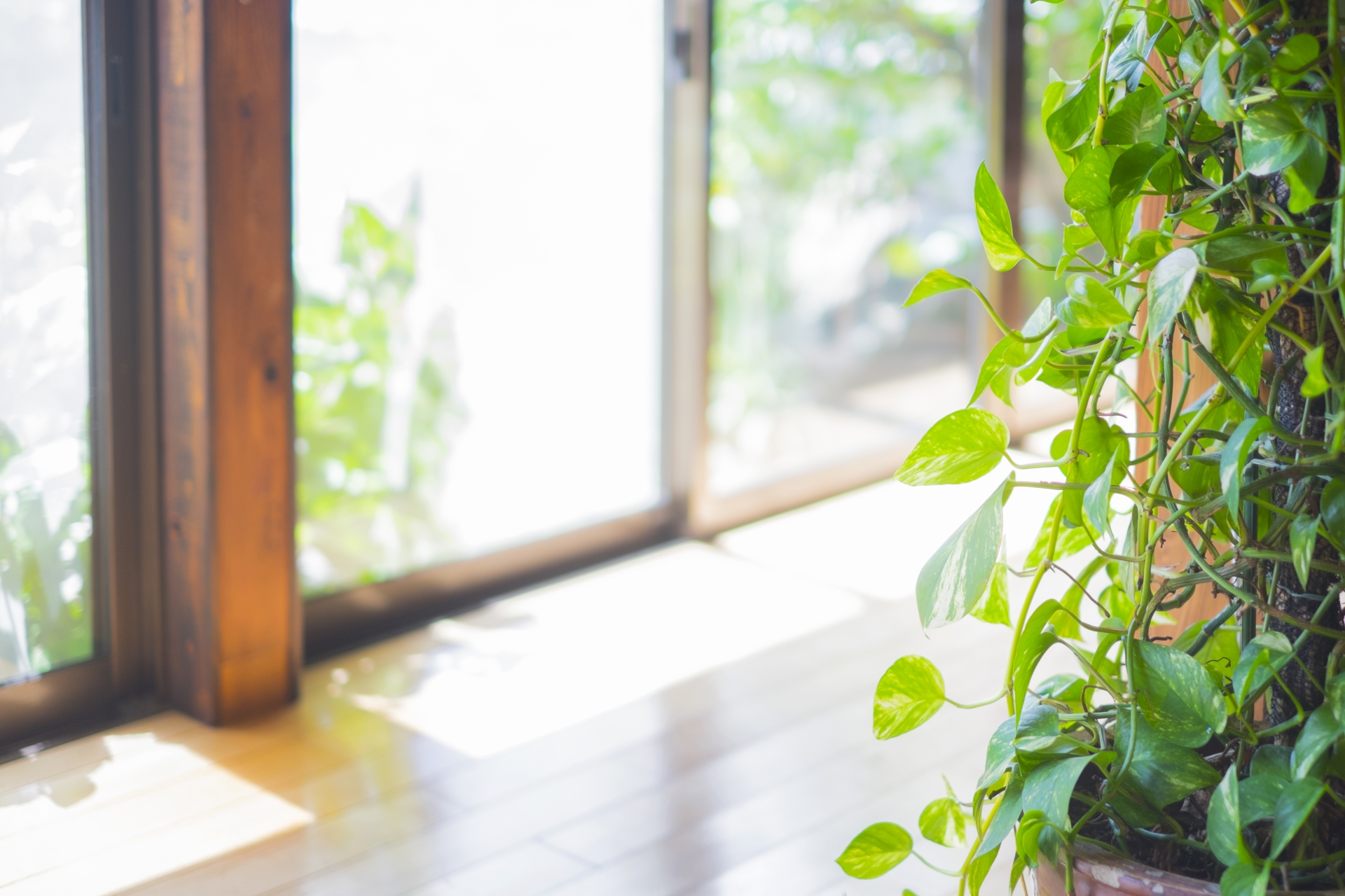 福島リペア-床鳴り・建具・アルミサッシ等住まいのキズ補修なら　「会津リペアナビ」紹介　明るい住まいイメージ写真